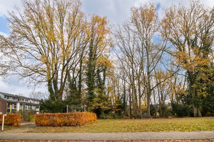 Photo 29 of Obrechtlaan 13