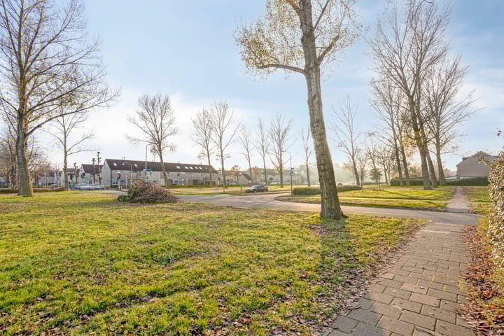 Foto 45 van Gipskruidweg 219