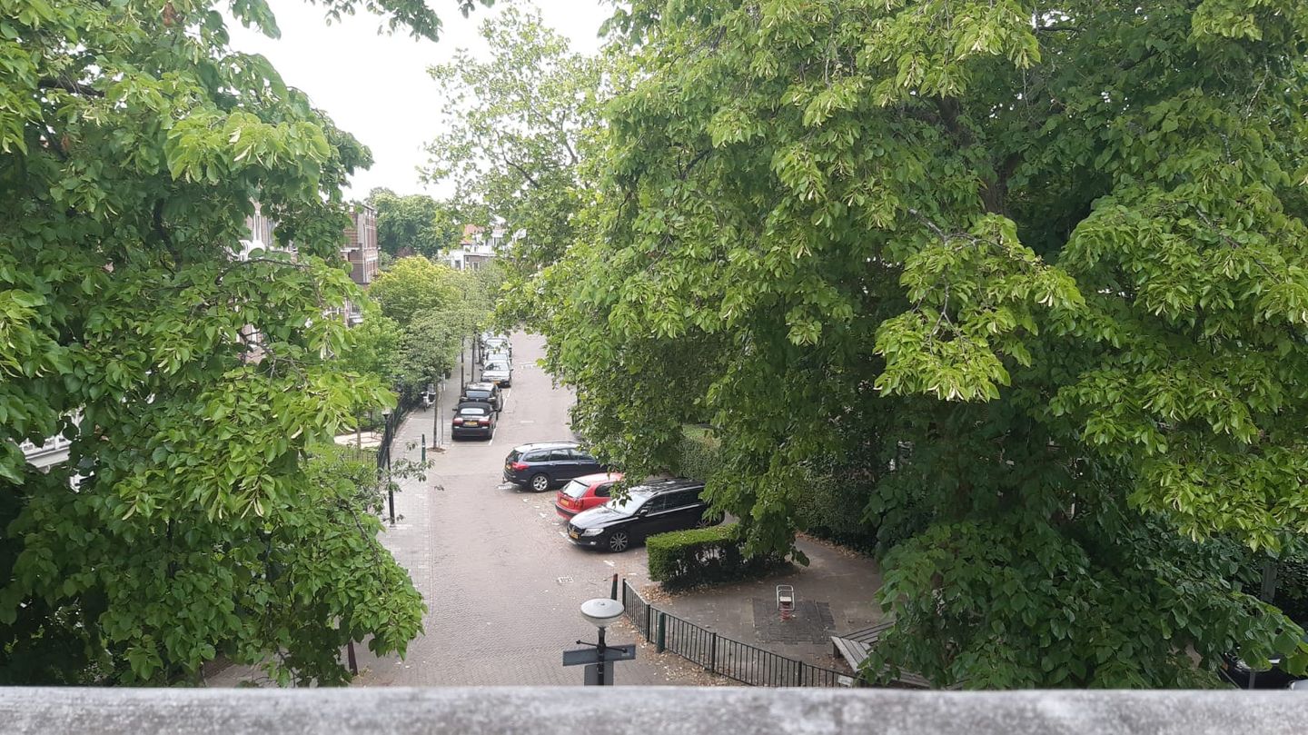 Foto 19 van Leeuwendaallaan 15