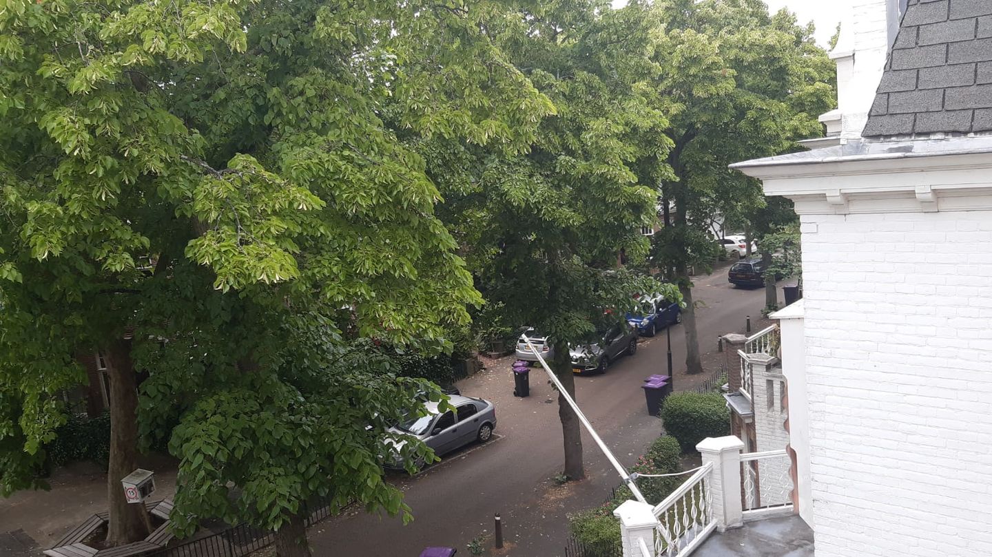 Foto 20 van Leeuwendaallaan 15