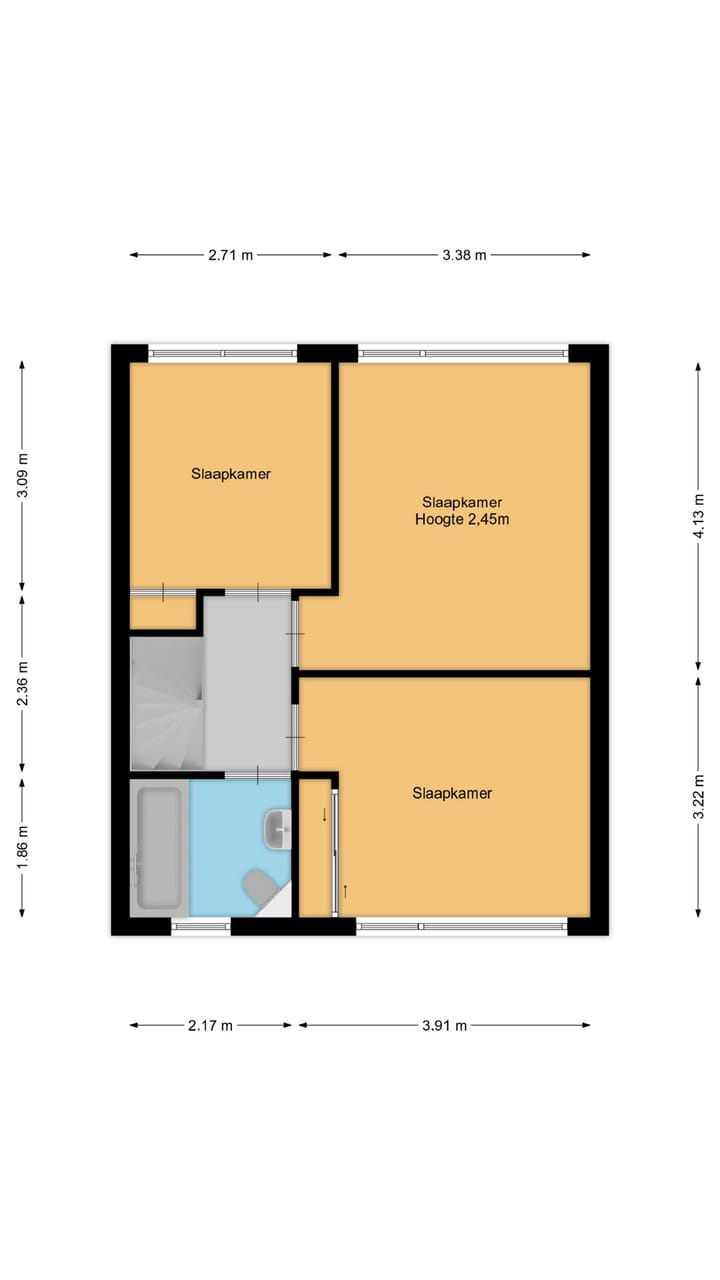 Foto 25 van Anna van Burenstraat 21