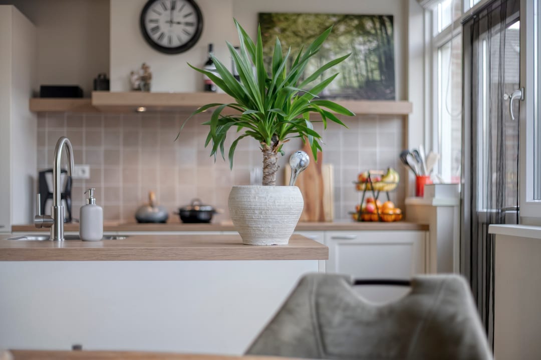 Photo 17 of Reigerstraat 5