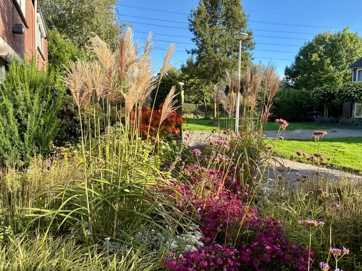 Foto 29 van Toekomststraat 143