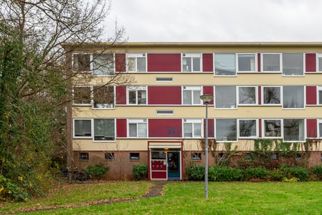 undefined main image