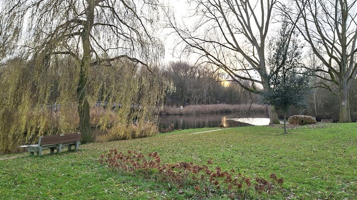 Photo 12 of Wikkepad 8