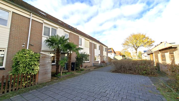 Photo 25 of Wikkepad 8