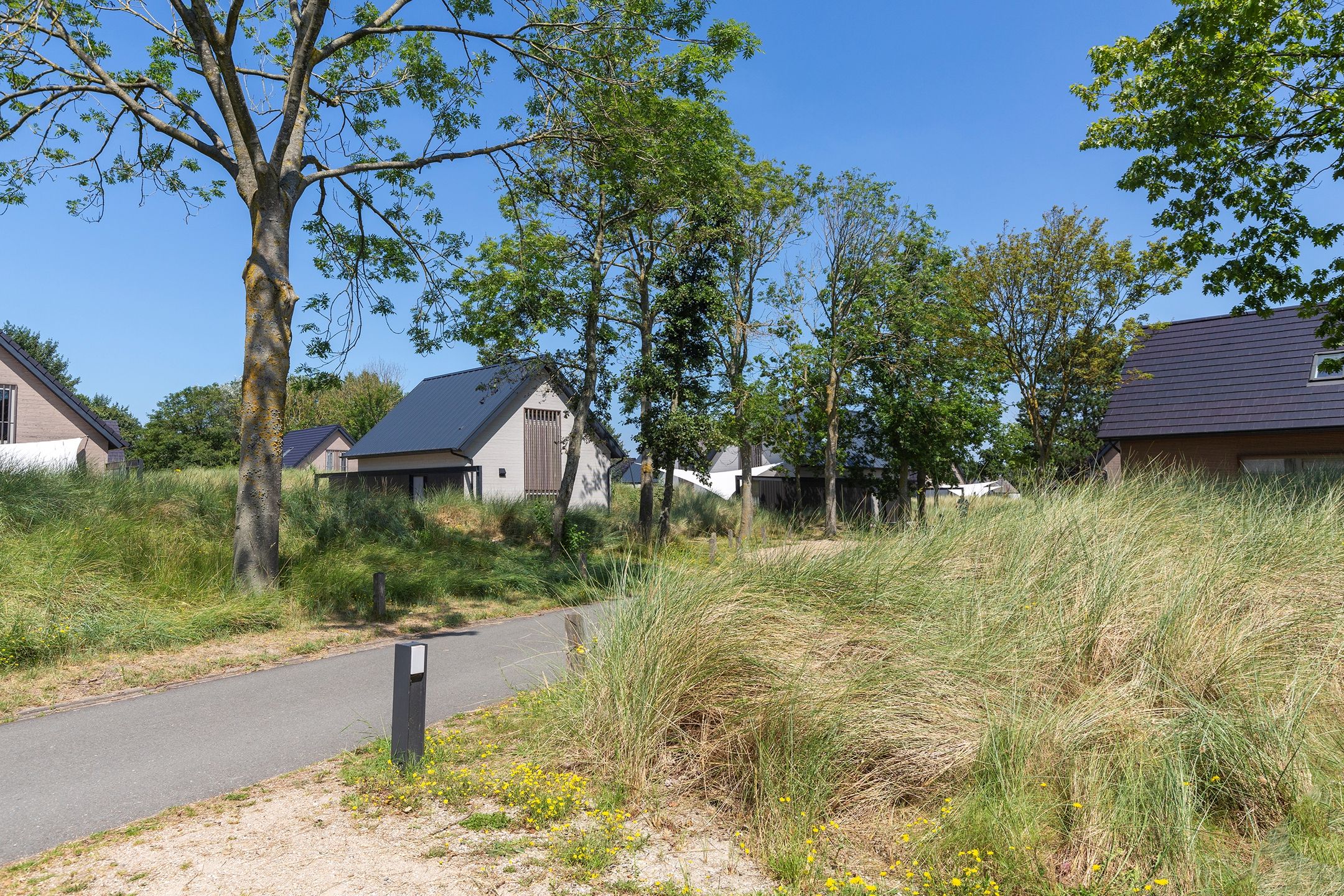 Foto 33 van Ridderstee 246