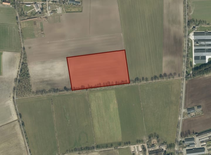 De Horstenbleek/De Schoten, Hoogeloon