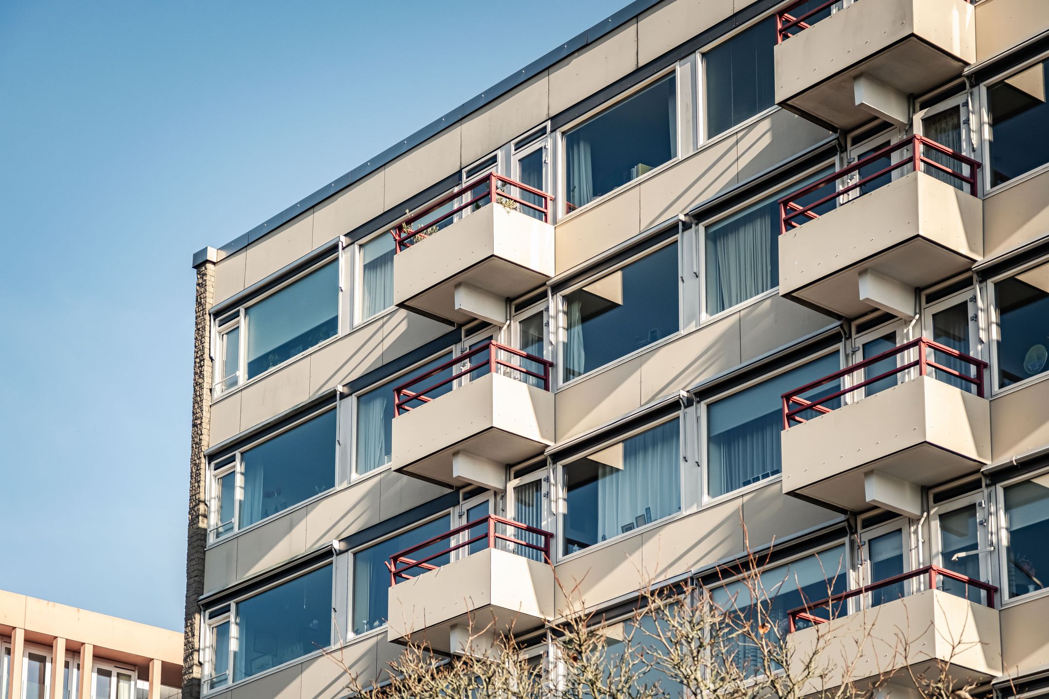 Photo 18 of Zandvoorter Allee 230