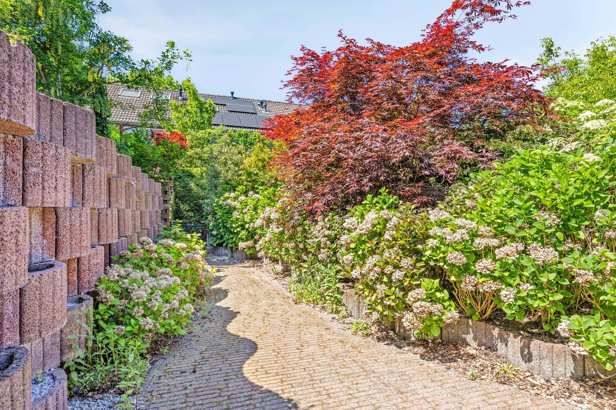 Foto 30 van Schoutenveld 408