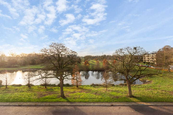 Foto 6 van Ruys de Beerenbrouckstraat 57