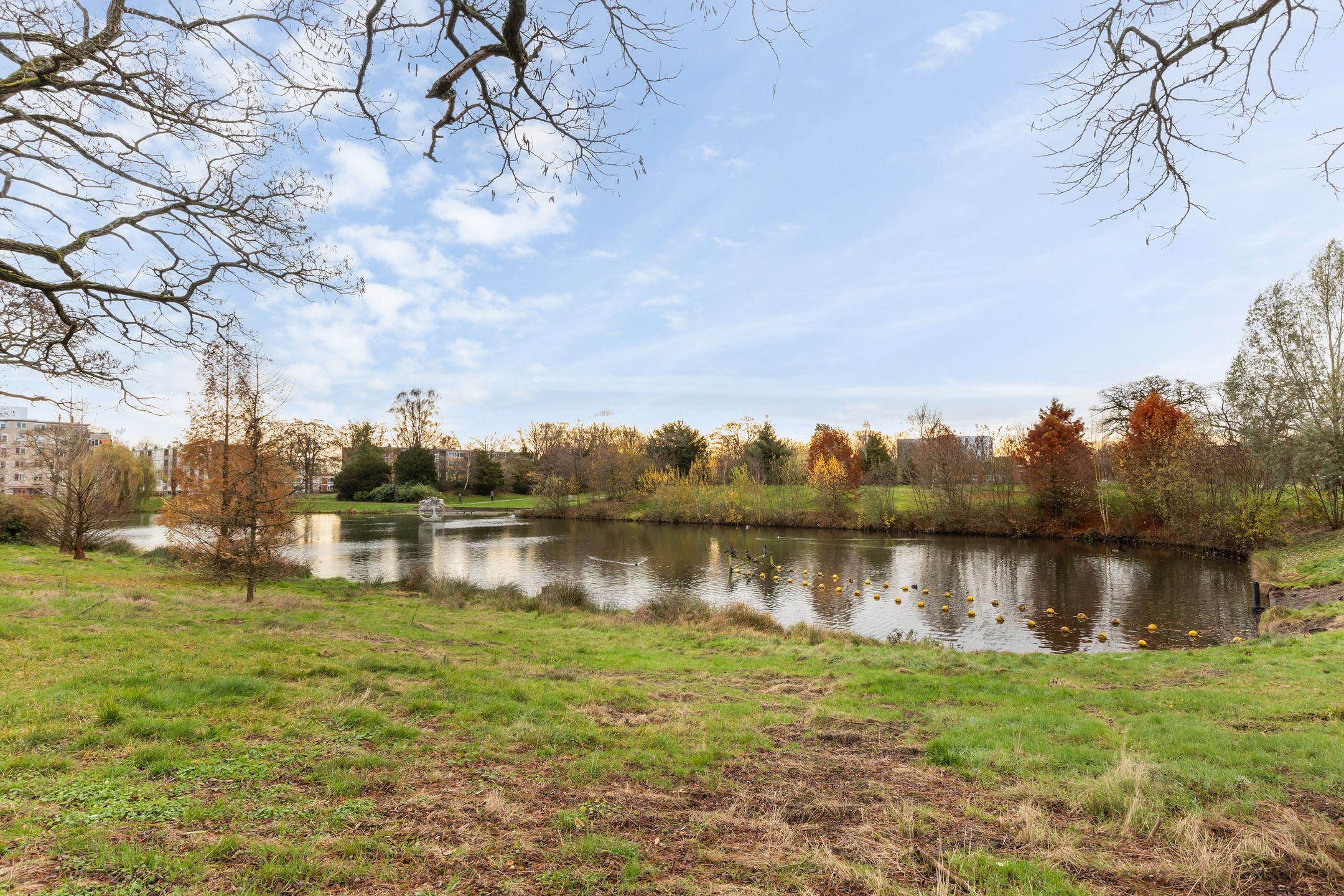 Foto 33 van Ruys de Beerenbrouckstraat 57