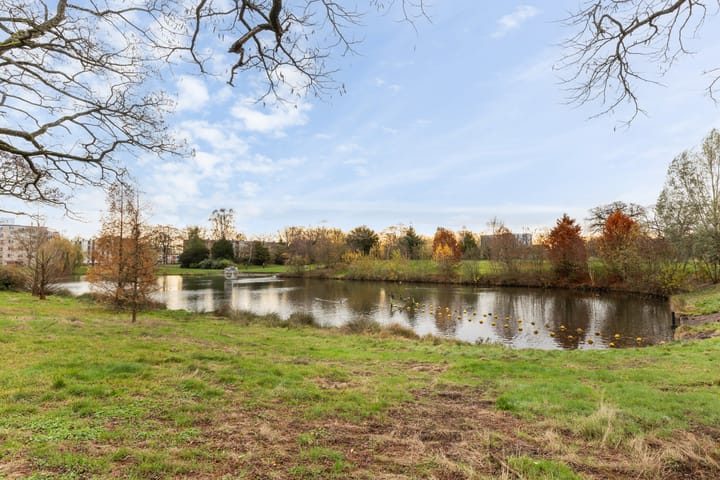 Foto 33 van Ruys de Beerenbrouckstraat 57