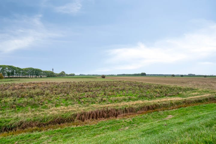 Foto 48 van Maasdijk 79