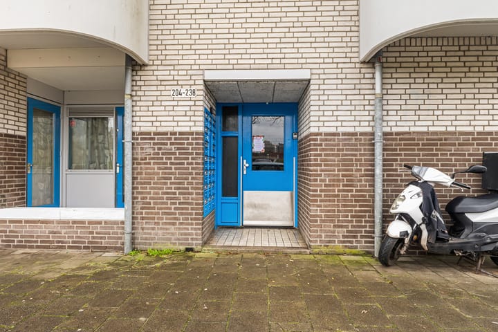 Foto 4 van Bernard Shawsingel 238