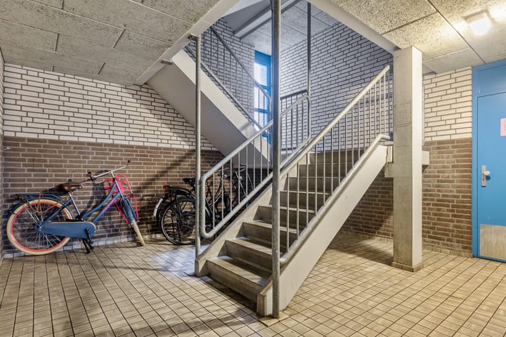 Foto 23 van Bernard Shawsingel 238