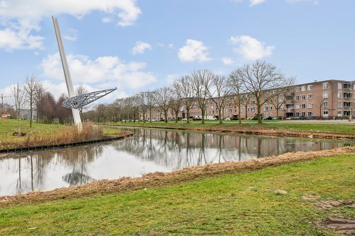 Foto 28 van Bernard Shawsingel 238