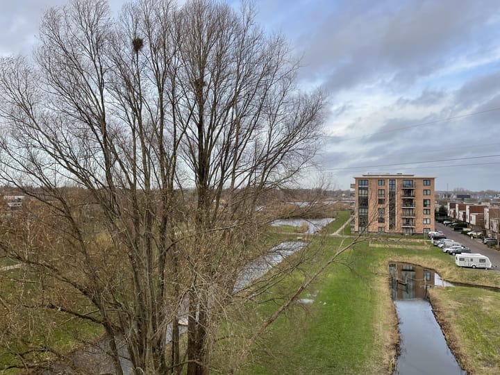 Foto 17 van Lobeliuslaan 252