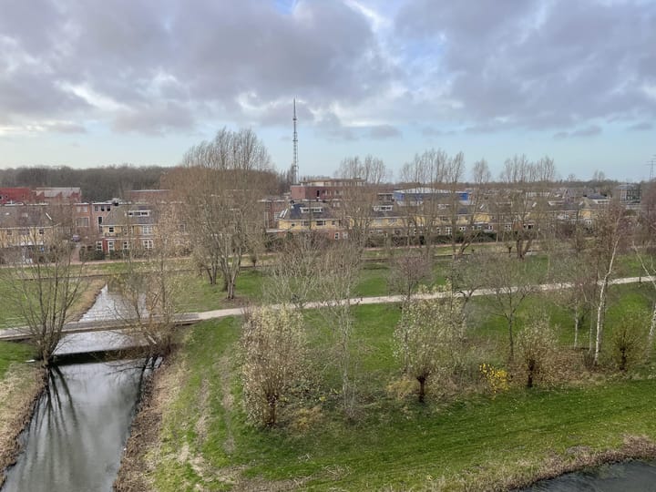 Foto 20 van Lobeliuslaan 252