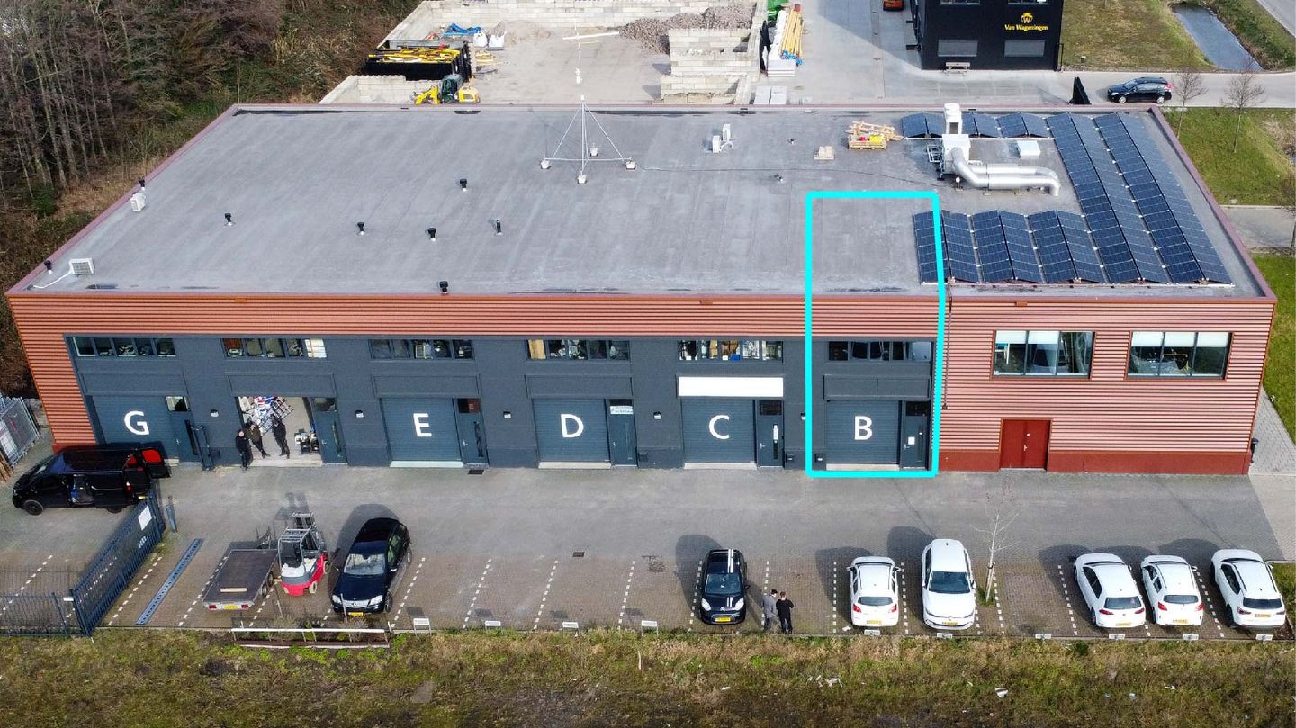 Bekijk foto 1 van Sikkel 16-B