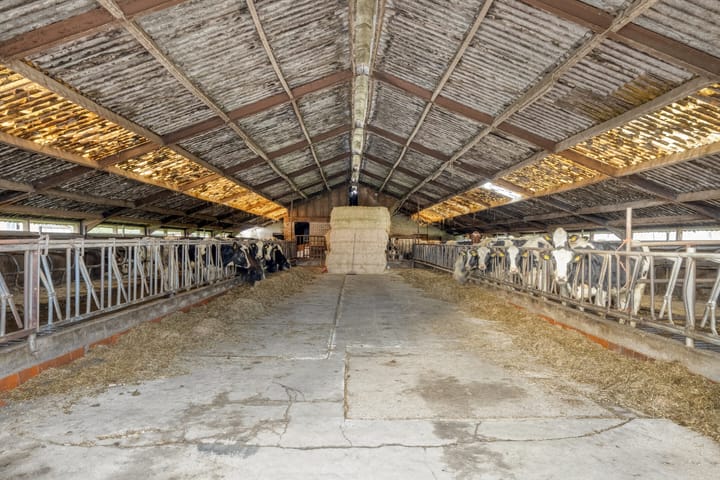 Photo 32 of Polderweg 1