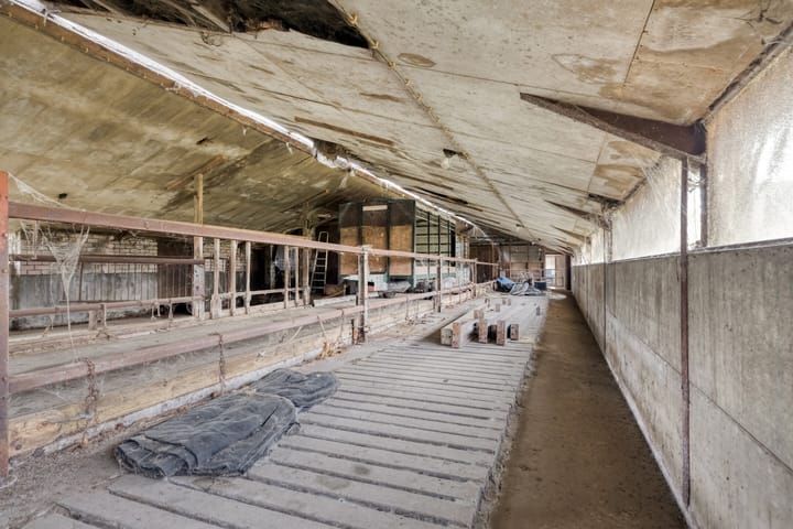 Photo 34 of Polderweg 1