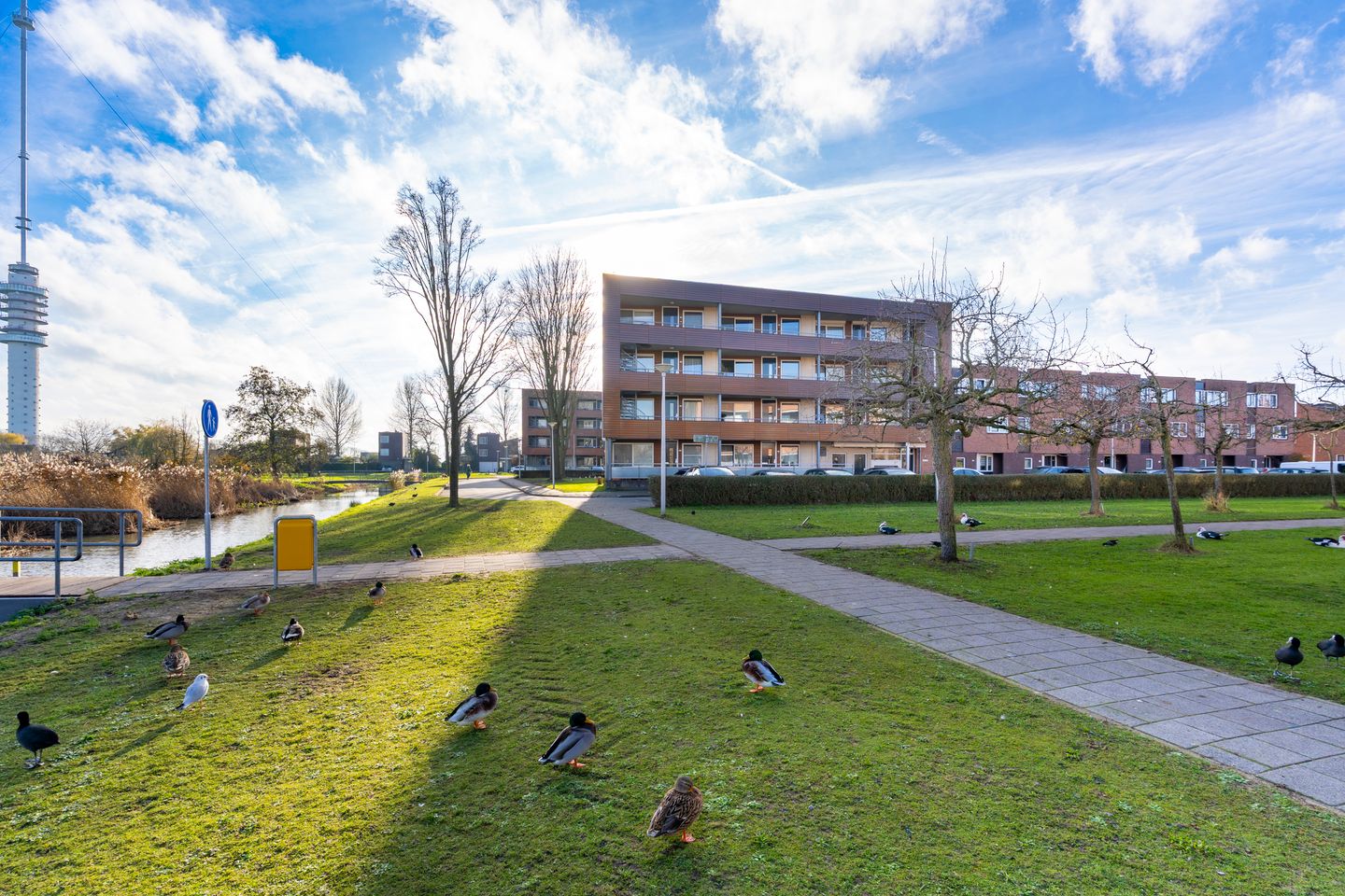 Foto 34 van Jan Bijhouwerstraat 66