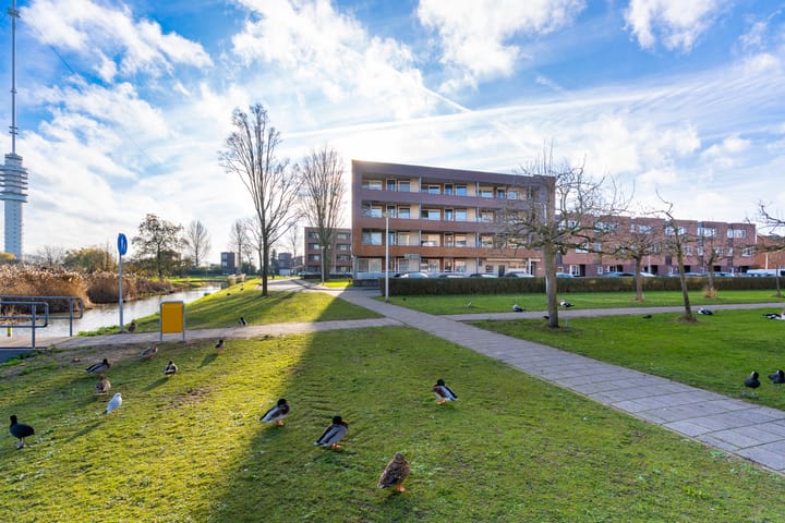 Photo 34 of Jan Bijhouwerstraat 66