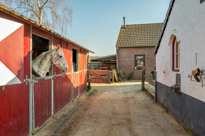 Foto 56 van Hanikerweg 3