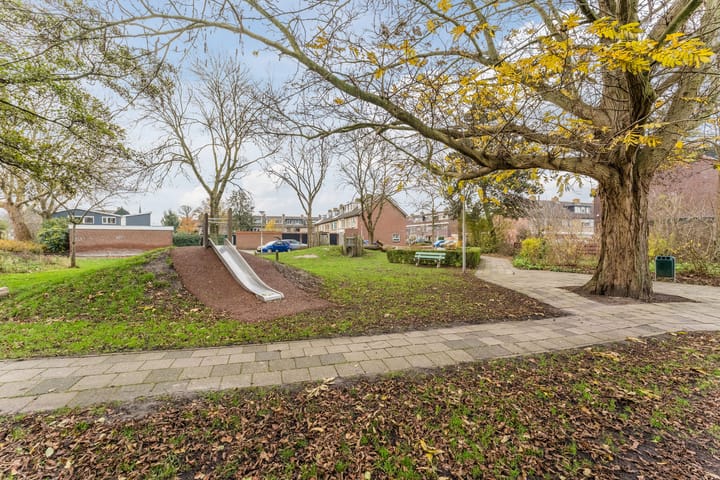 Foto 50 van van Swietenstraat 41