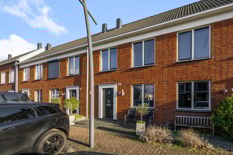 undefined main image