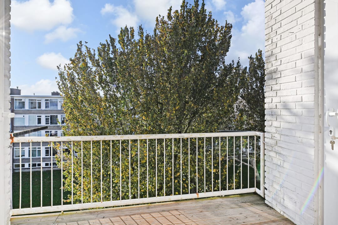 Foto 38 van Ewoudt van der Dussenlaan 23