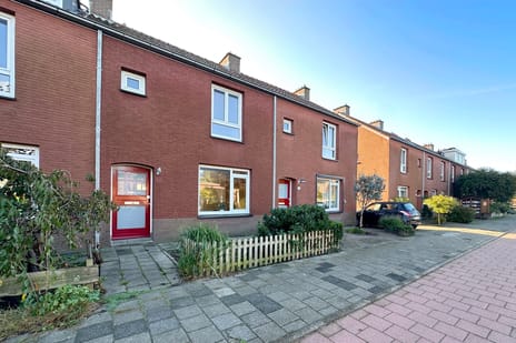 undefined main image