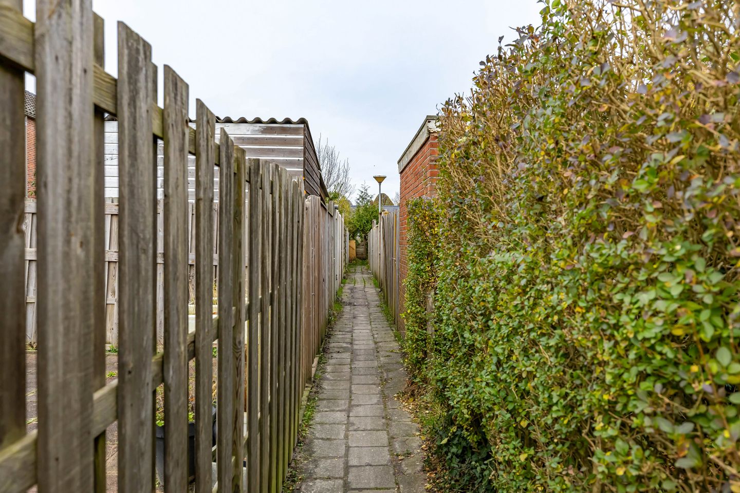 Foto 40 van Populierenlaan 50
