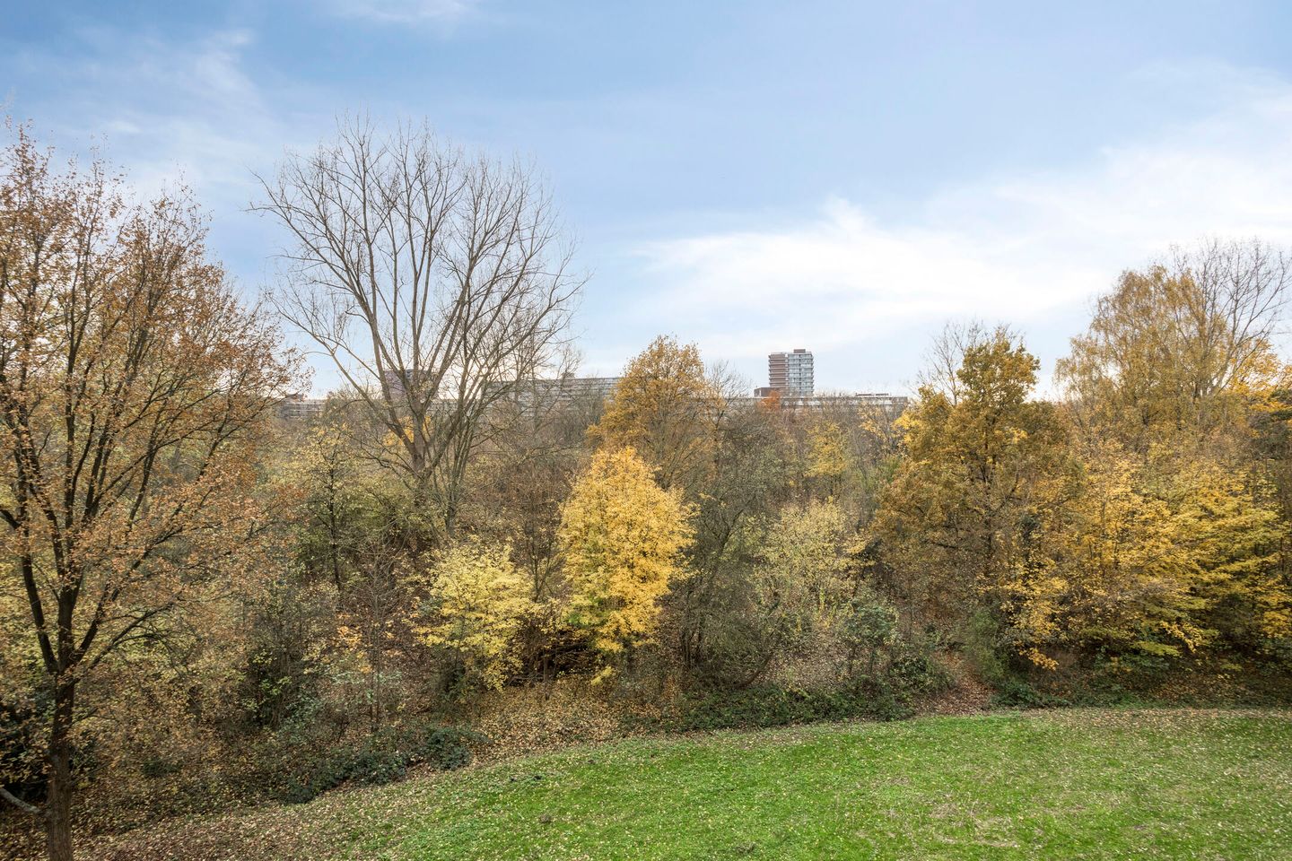 Foto 19 van Söderblomplaats 518