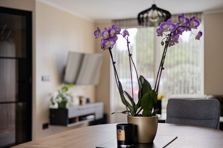 Foto 26 van Neerijnenstraat 9