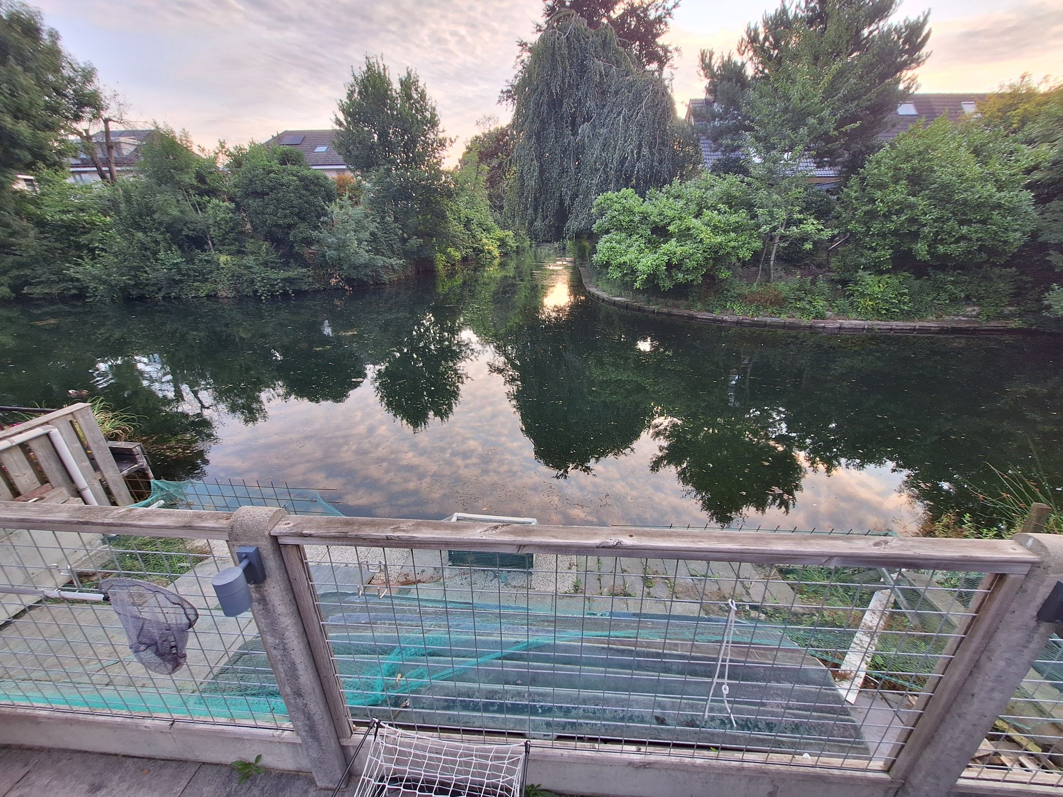 Foto 42 van de Kluijskamp 1039