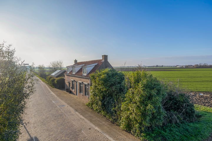 Foto 5 van Zuiddijk 3