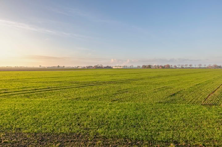 Foto 58 van Zuiddijk 3