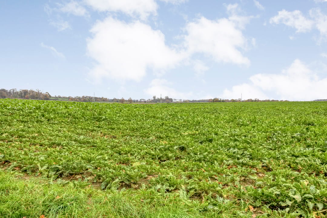 Foto 47 van Spaubeekerstraat 111