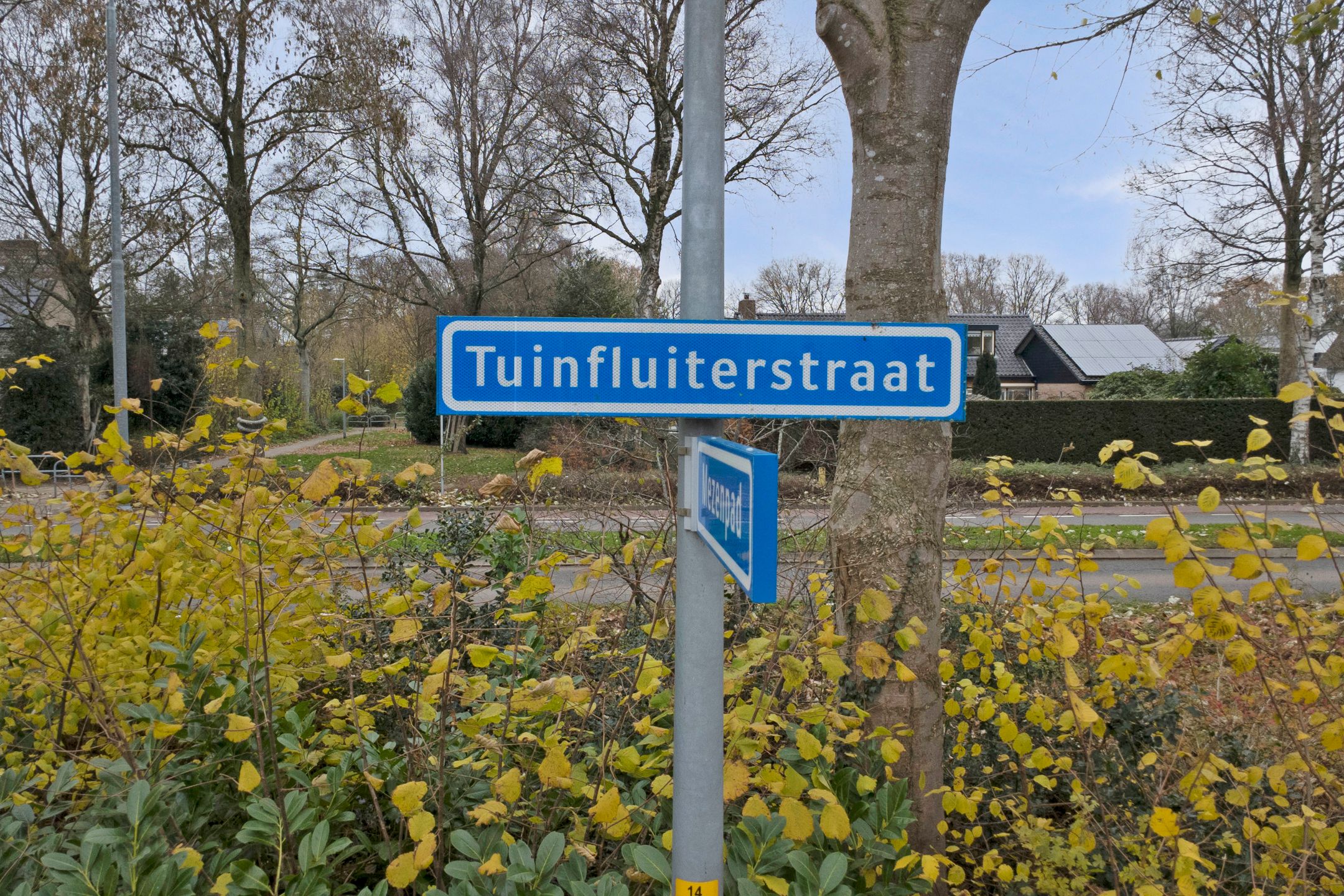 Photo 39 of Tuinfluiterstraat 113