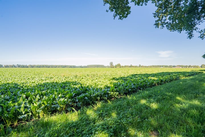 Foto 45 van Ruiten A Kanaal West 12