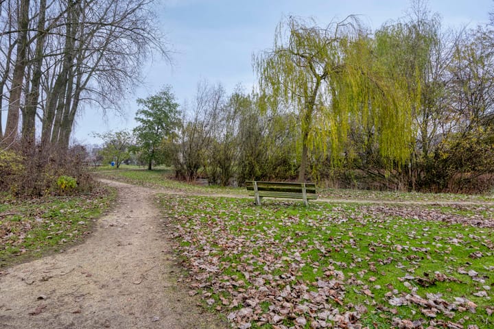 Foto 28 van Schaapsveld 35