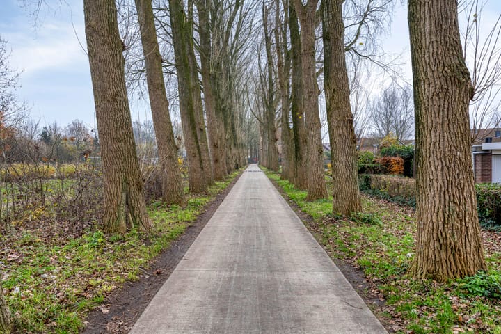 Foto 29 van Schaapsveld 35