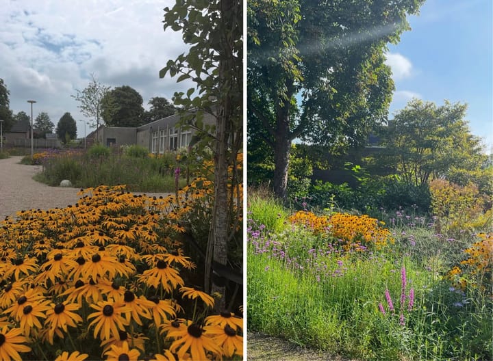 Foto 30 van Onder de Mast 9