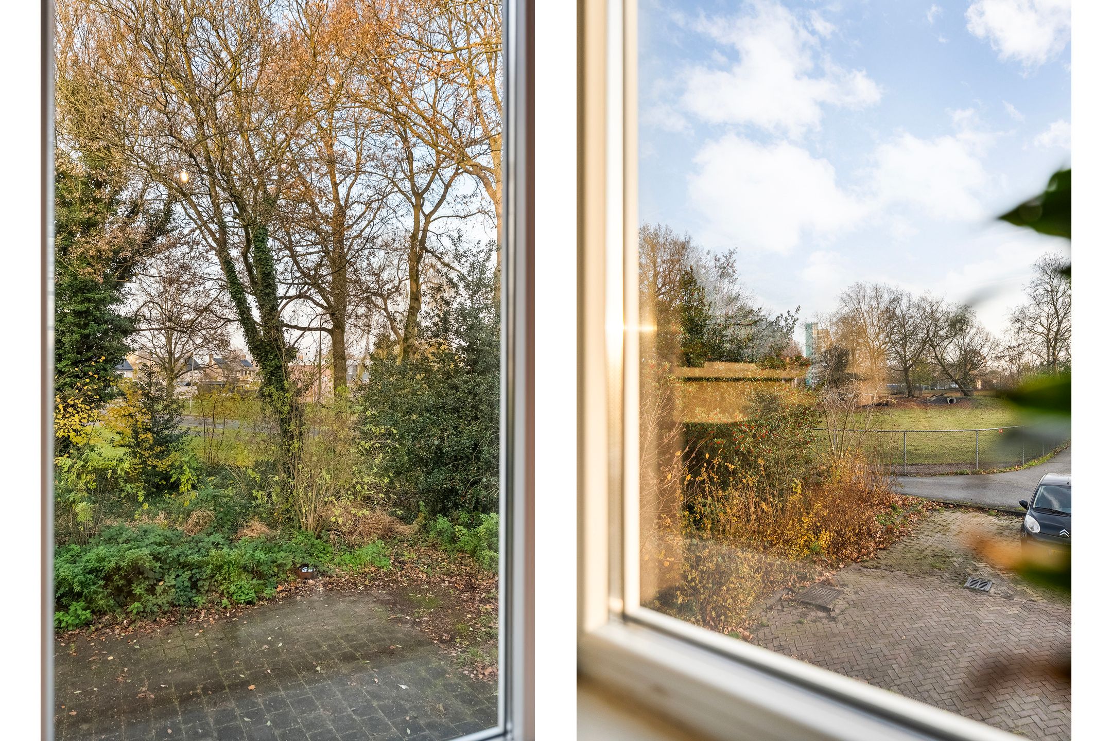 Photo 3 of Anemoonstraat 31