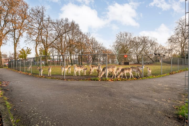 Foto 27 van Anemoonstraat 31