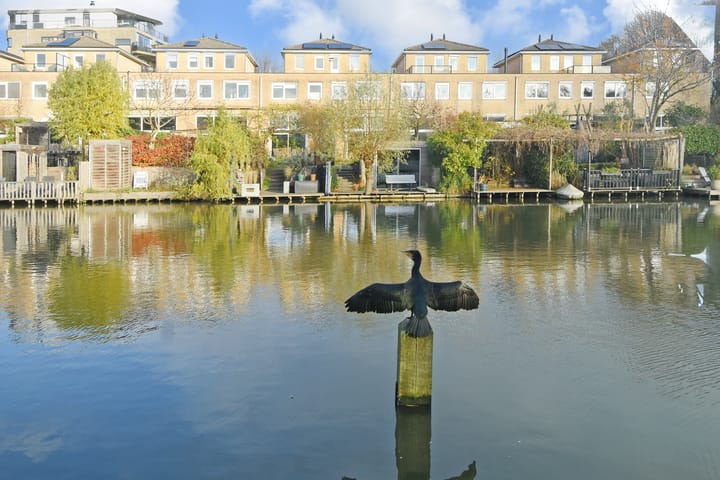 Foto 19 van Glaskloksingel 59