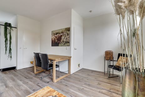 Tollensstraat 141-B tertiary image