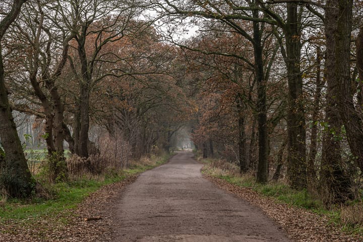 Foto 38 van Langakkers 15